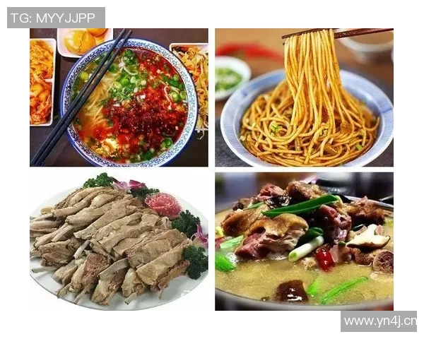 哈萨克族历史文化与现代社会发展：传承与创新的融合之路